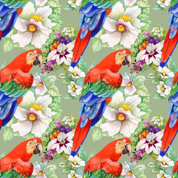 Exotic parrots birds background — Stock Photo, Image