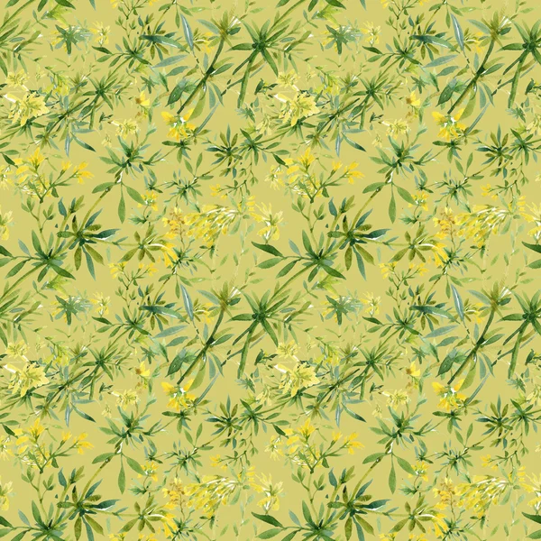 Trawnik kwitnących kwiatów — Zdjęcie stockowe