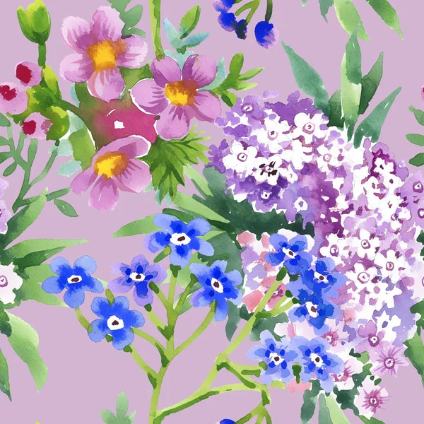 Garden blooming flowers — Stock Photo, Image