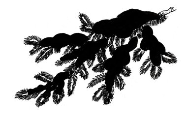 çam kozalakları ile şube