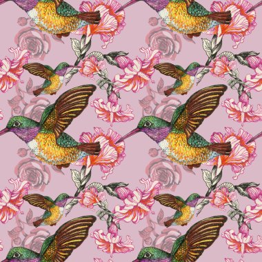 Egzotik kuşlar arka plan