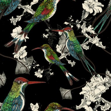 Egzotik kuşlar arka plan