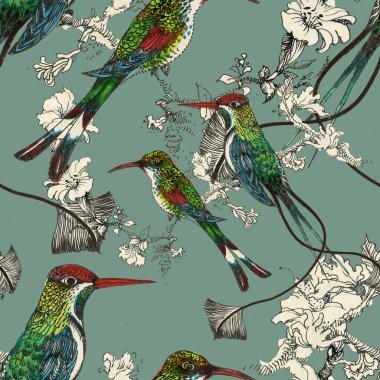 Egzotik kuşlar arka plan