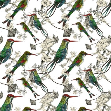 Egzotik kuşlar arka plan