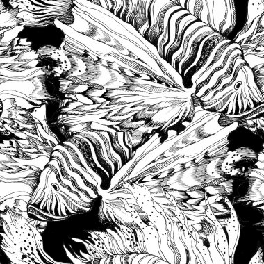 Deniz lionfish desen