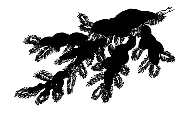 çam kozalakları ile şube