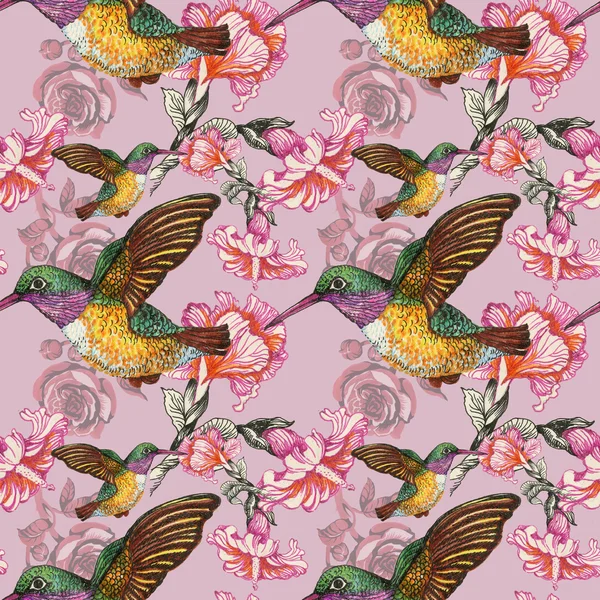 Exotic birds background — Stock Photo, Image