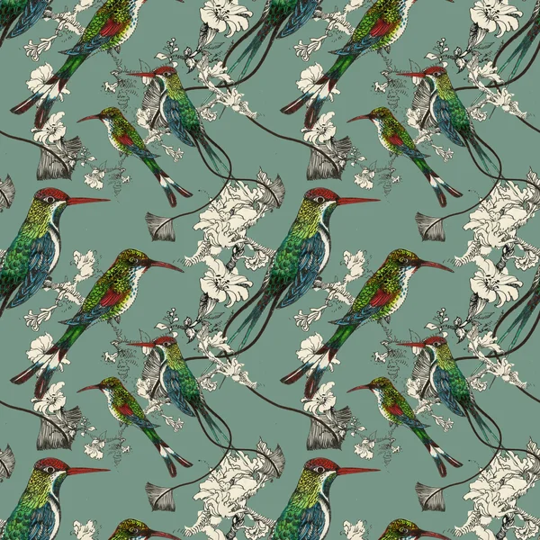 Exotic birds background — Stock Photo, Image