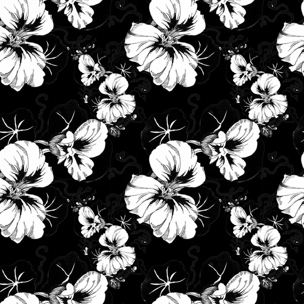 Tuin bloeiende zomerbloemen — Stockfoto