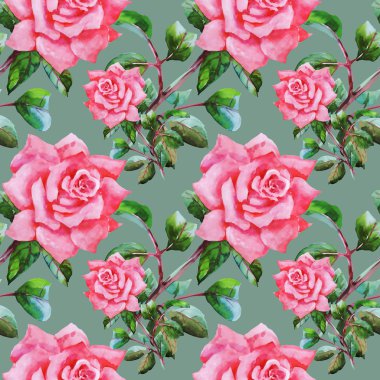 Çiçek Bahçe güller