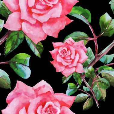 Çiçek Bahçe güller