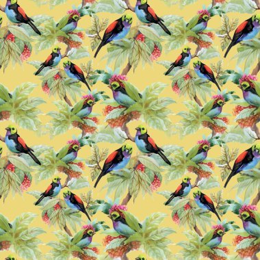 Egzotik kuşlar arka plan