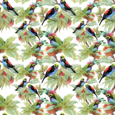 Egzotik kuşlar arka plan