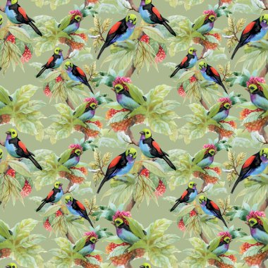 Egzotik kuşlar arka plan