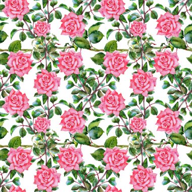 Çiçek Bahçe güller