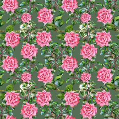 Çiçek Bahçe güller