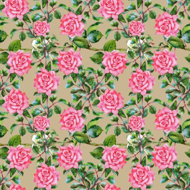 Çiçek Bahçe güller