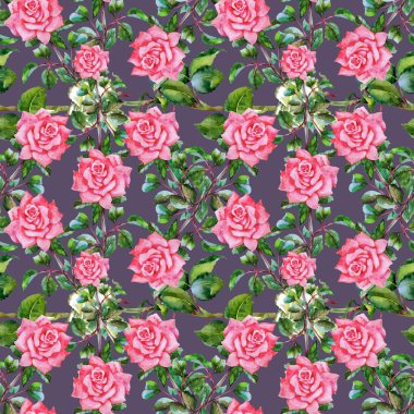 Çiçek Bahçe güller