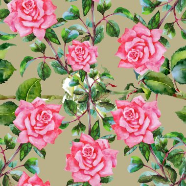 Çiçek Bahçe güller