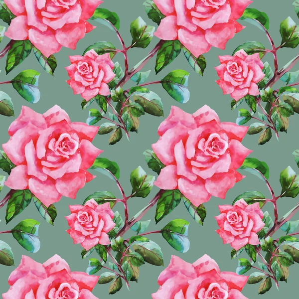 Tuin rozen bloeiende bloemen — Stockfoto