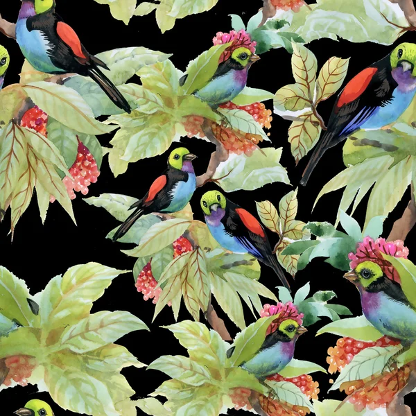 Egzotik kuşlar arka plan — Stok fotoğraf