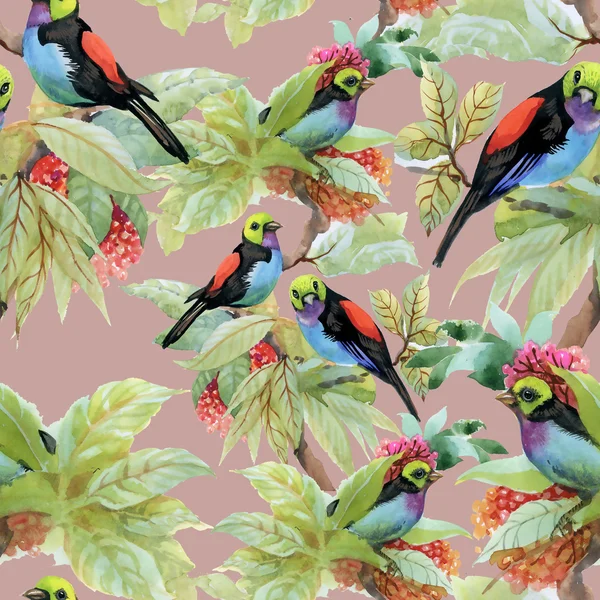 Egzotik kuşlar arka plan — Stok fotoğraf