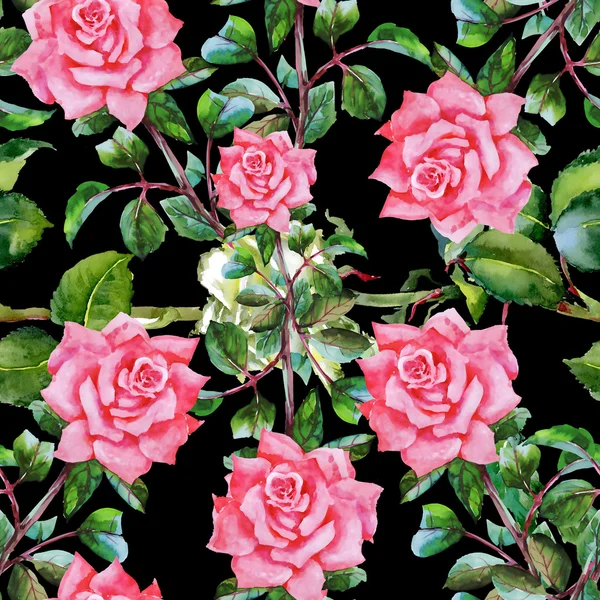Садові троянди квітучі квіти — стокове фото