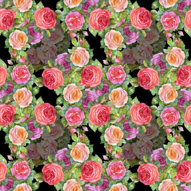 Çiçek Bahçe güller