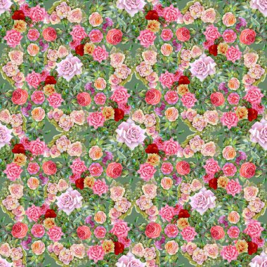 Çiçek Bahçe güller