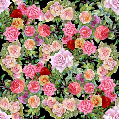 Çiçek Bahçe güller