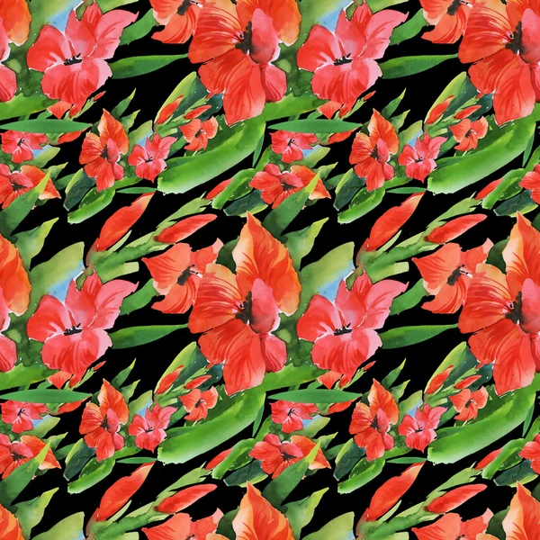 Akvarell trädgård gladiolus blommor — Stockfoto
