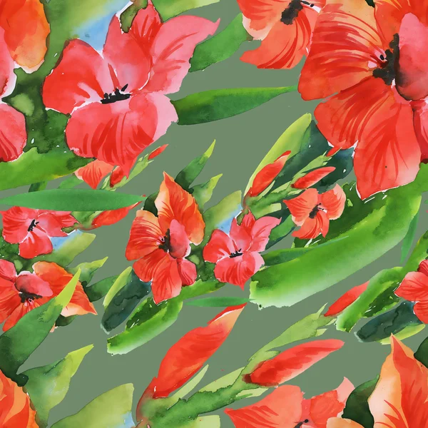 Watercolor garden gladiolus flowers — Stock Photo, Image