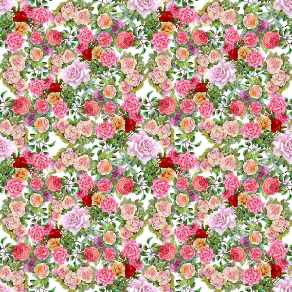 Çiçek Bahçe güller