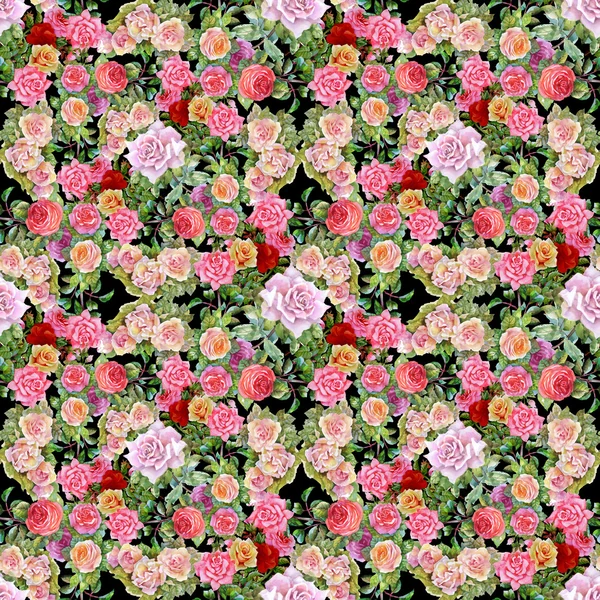 Çiçek Bahçe güller