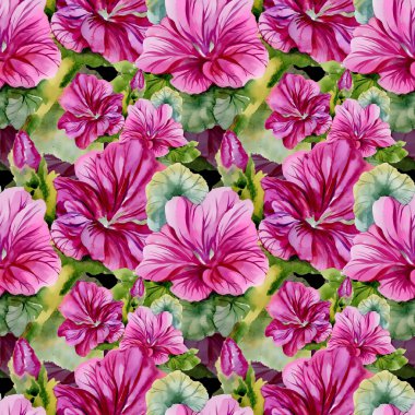 Bahçe çiçek açan çiçekler