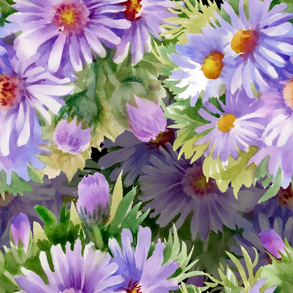 Tuin bloeiende bloemen — Stockfoto