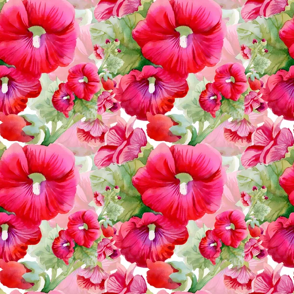 สวนดอกไม้ — ภาพถ่ายสต็อก