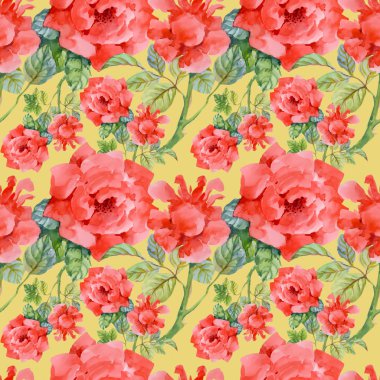 Çiçek Bahçe güller