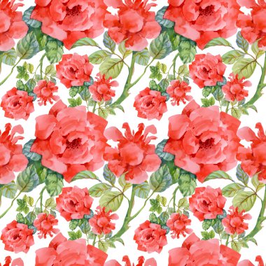 Çiçek Bahçe güller