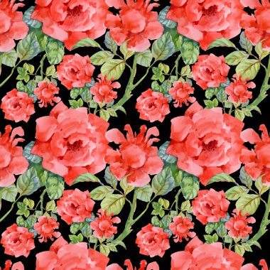 Çiçek Bahçe güller