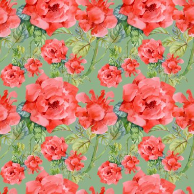 Çiçek Bahçe güller