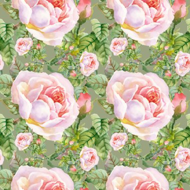 Çiçek Bahçe güller