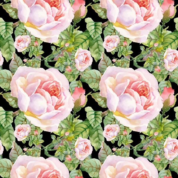 Blühende Gartenrosen — Stockfoto