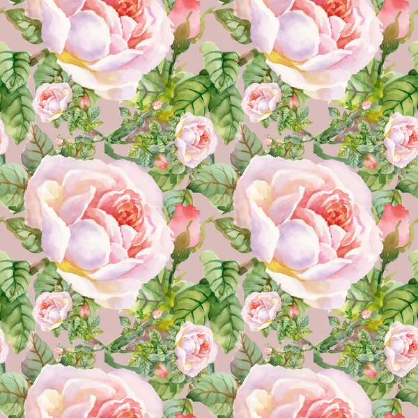 Trädgård rosor blommande blommor — Stockfoto