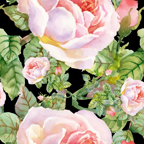Tuin rozen bloeiende bloemen — Stockfoto