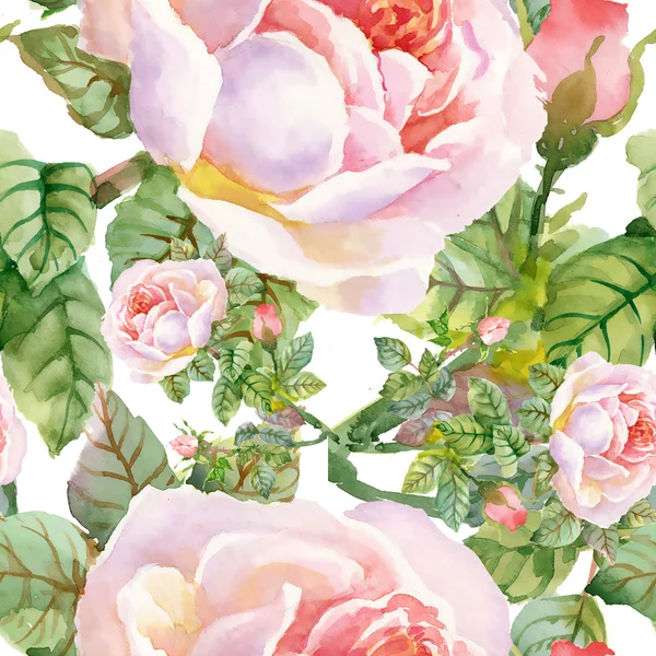 Trädgård rosor blommande blommor — Stockfoto