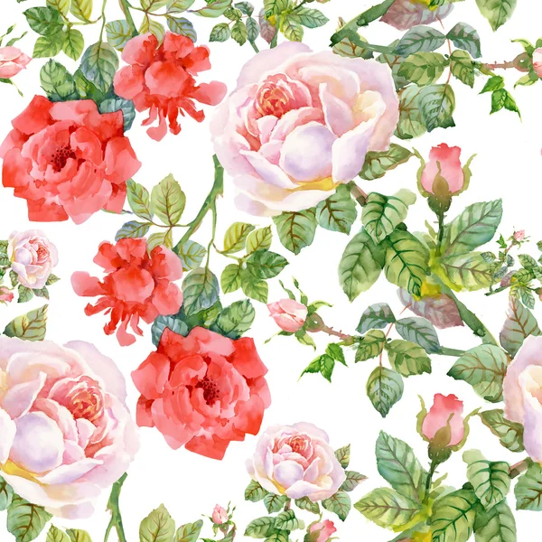 Rose da giardino fiori fioriti — Foto Stock