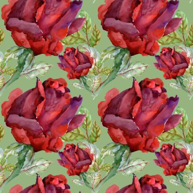 Çiçek Bahçe güller