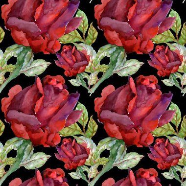 Çiçek Bahçe güller