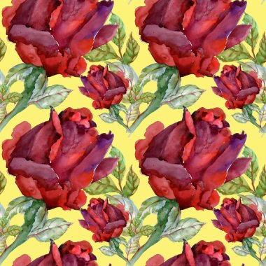 Çiçek Bahçe güller